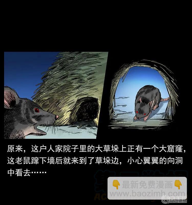 幽冥詭匠 - 136 插樹溝屍魃(1/2) - 5