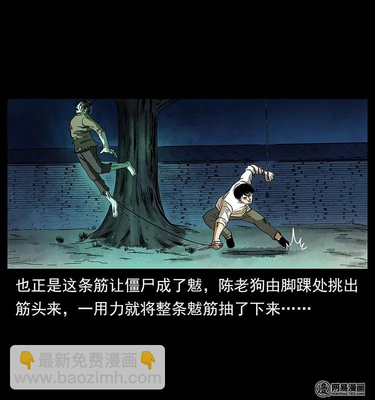 幽冥詭匠 - 136 插樹溝屍魃(2/2) - 1