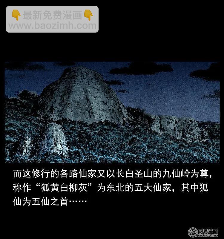 幽冥詭匠 - 142 黑狐(1/2) - 6