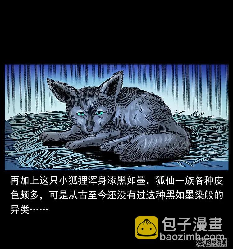 幽冥詭匠 - 142 黑狐(1/2) - 3