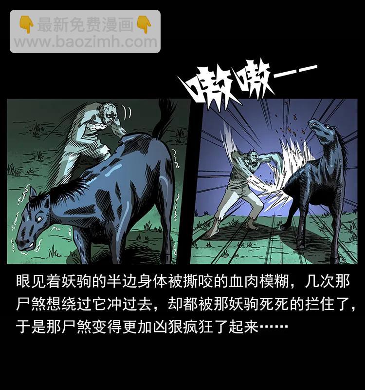 幽冥詭匠 - 158 妖駒的選擇(2/2) - 4