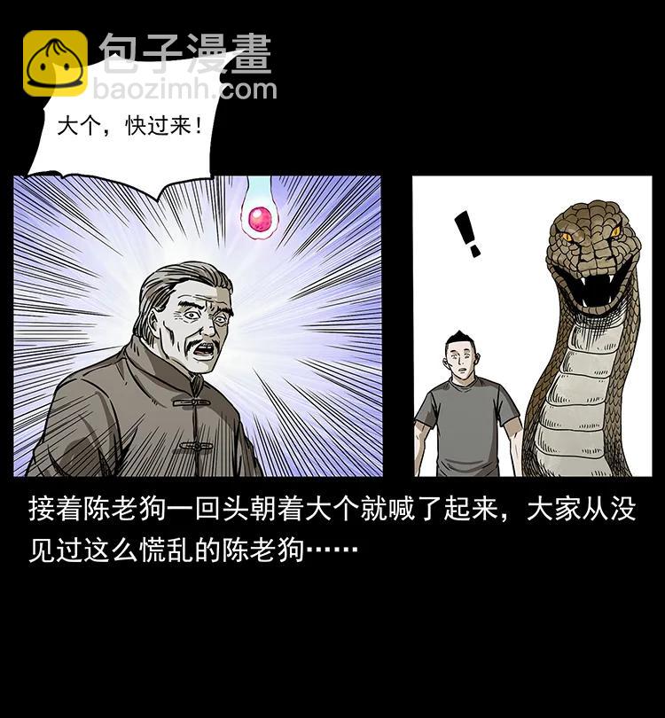 幽冥詭匠 - 194 血蠱王(2/2) - 5