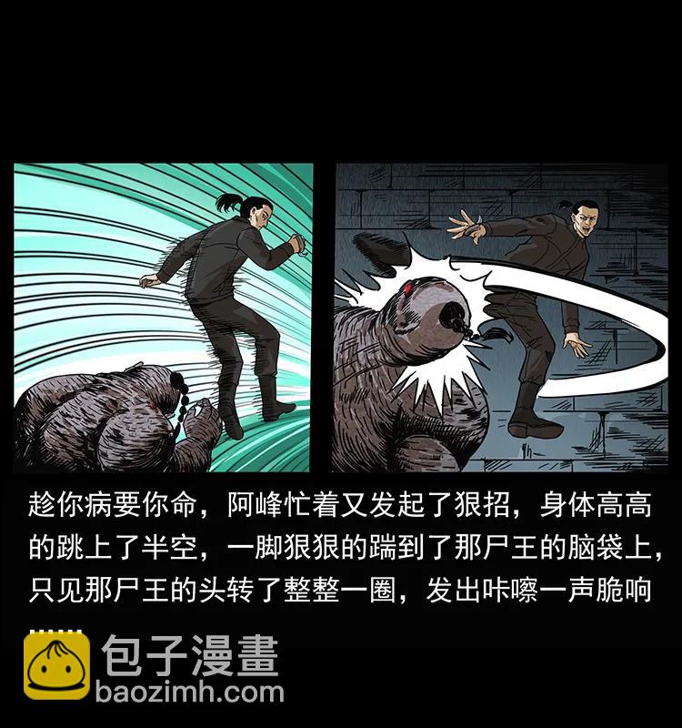 幽冥詭匠 - 208 哪來的屍王(2/2) - 5