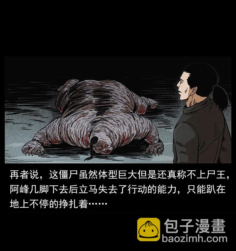 幽冥詭匠 - 208 哪來的屍王(2/2) - 2