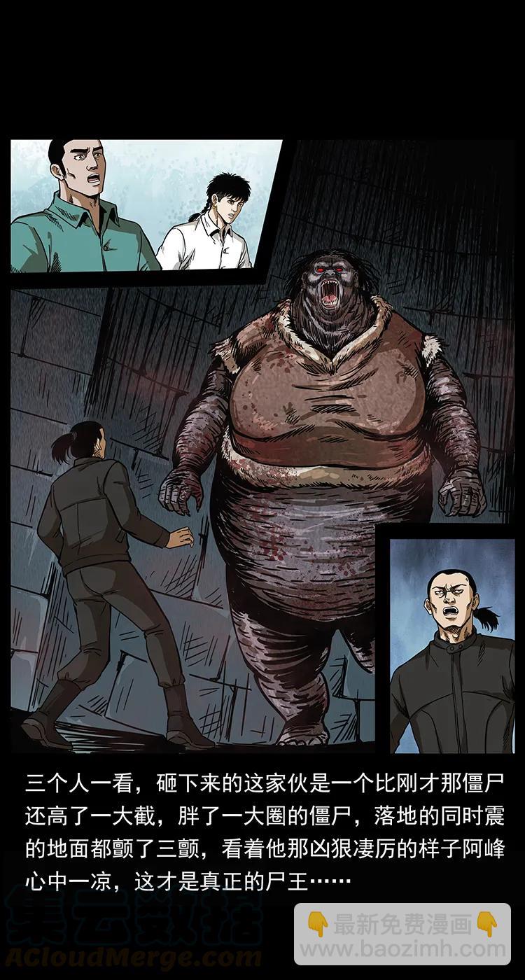 幽冥詭匠 - 208 哪來的屍王(2/2) - 3