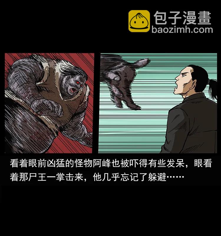 幽冥詭匠 - 208 哪來的屍王(2/2) - 4