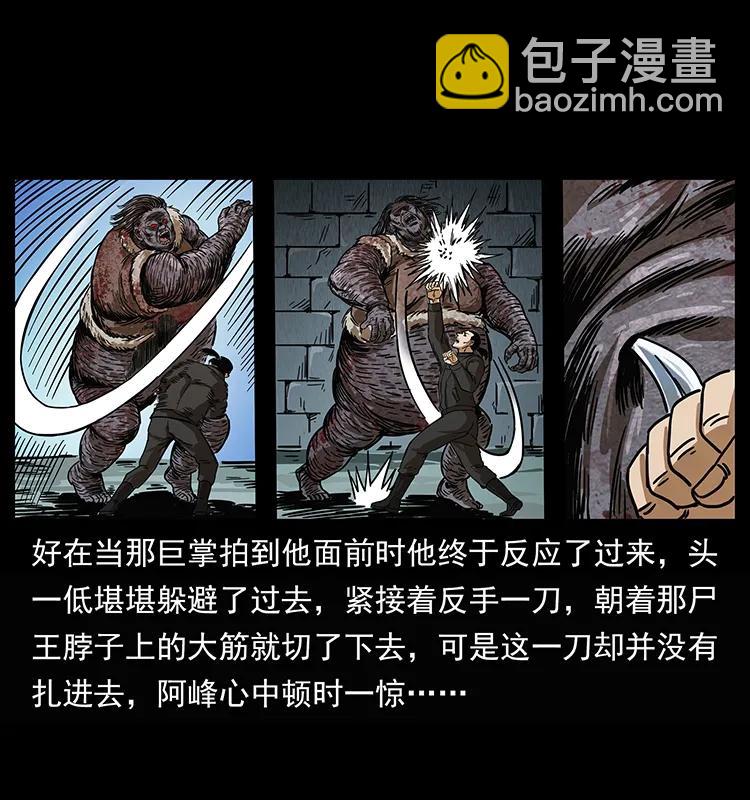 幽冥詭匠 - 208 哪來的屍王(2/2) - 5