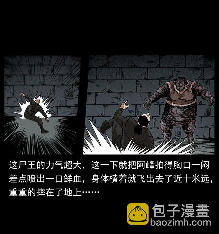 幽冥詭匠 - 208 哪來的屍王(2/2) - 2