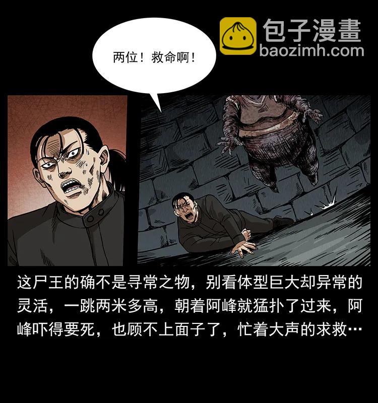 幽冥詭匠 - 208 哪來的屍王(2/2) - 3