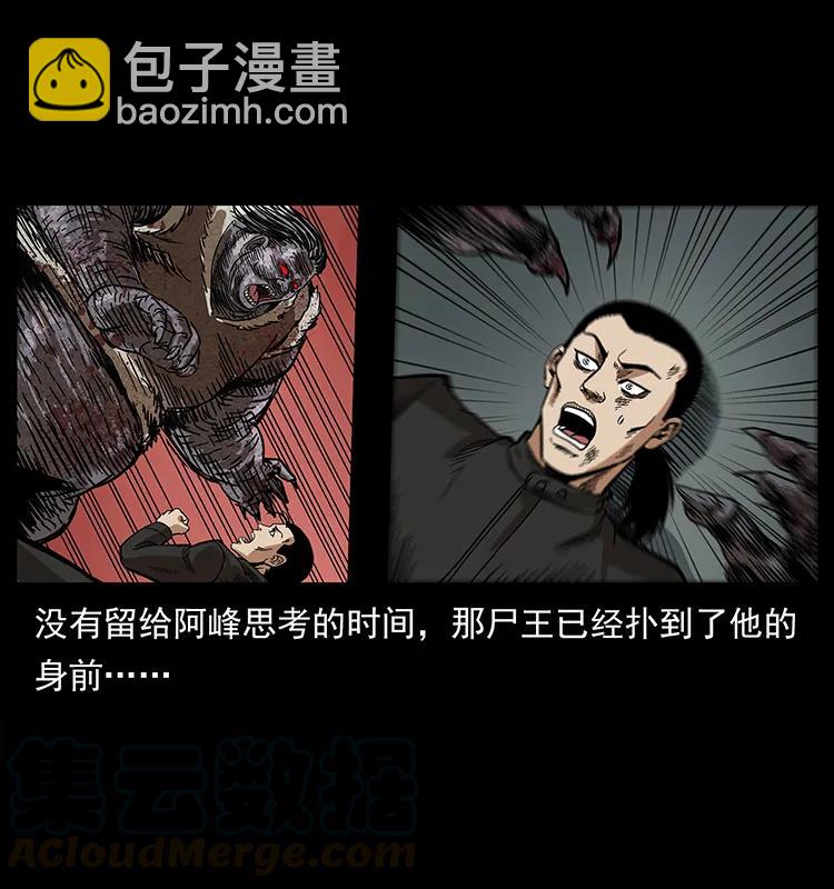 幽冥詭匠 - 208 哪來的屍王(2/2) - 5