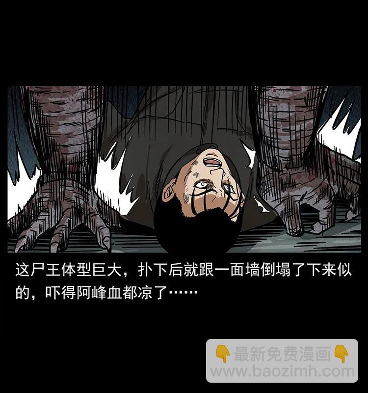 幽冥詭匠 - 208 哪來的屍王(2/2) - 6