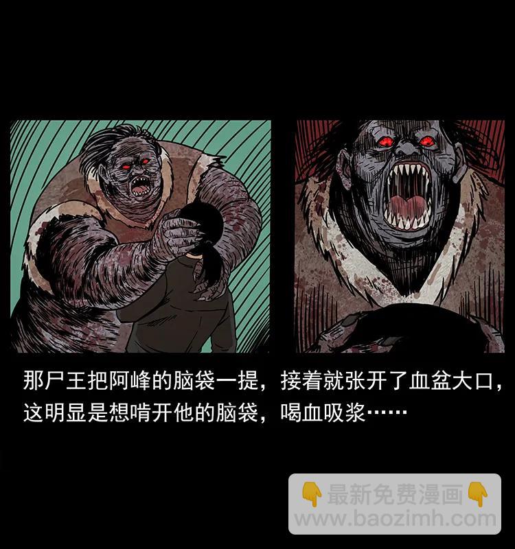 幽冥詭匠 - 208 哪來的屍王(2/2) - 1