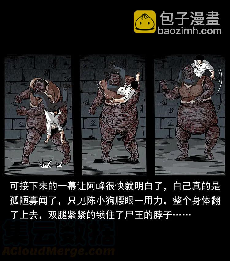 幽冥詭匠 - 208 哪來的屍王(2/2) - 1