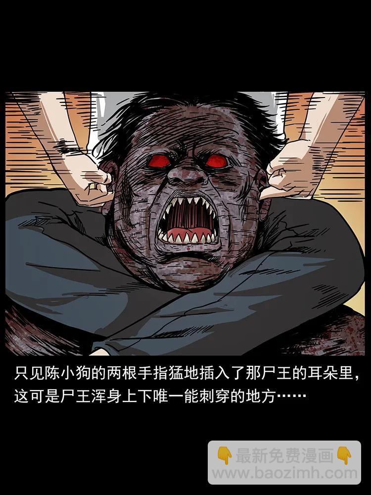 幽冥詭匠 - 208 哪來的屍王(2/2) - 3