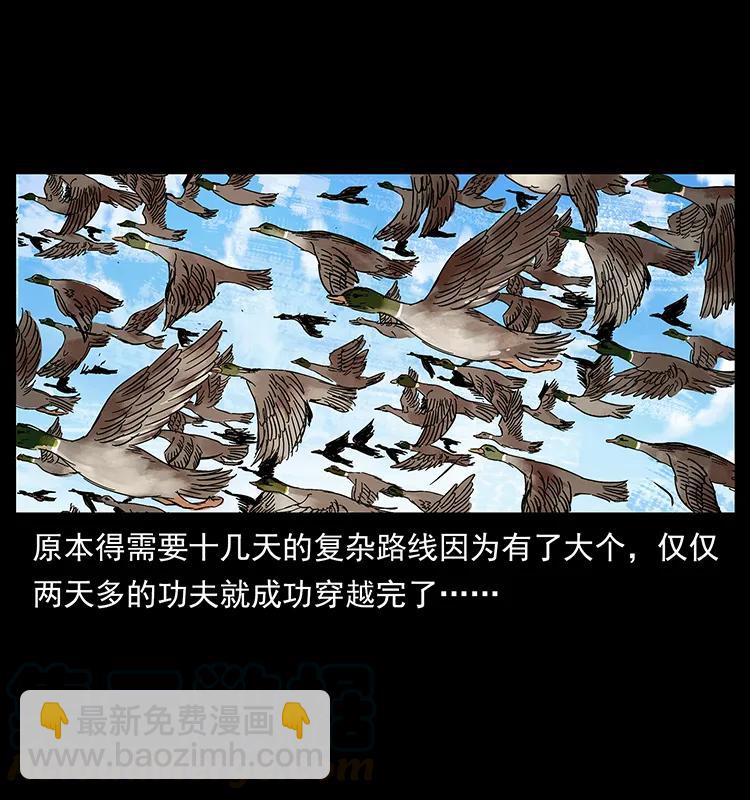 幽冥詭匠 - 212 草原深處(2/2) - 5