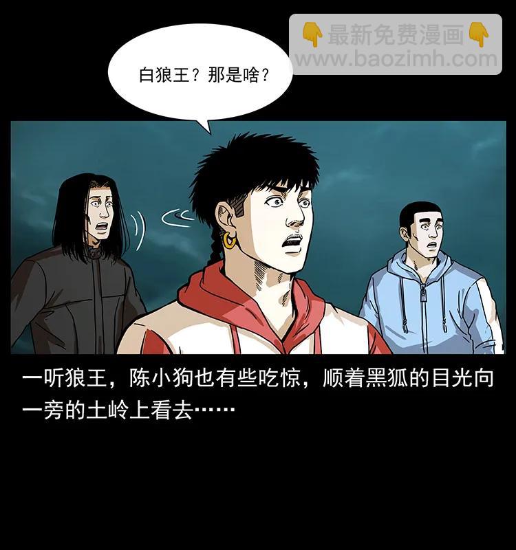 幽冥詭匠 - 220 漠北白狼王(2/2) - 4