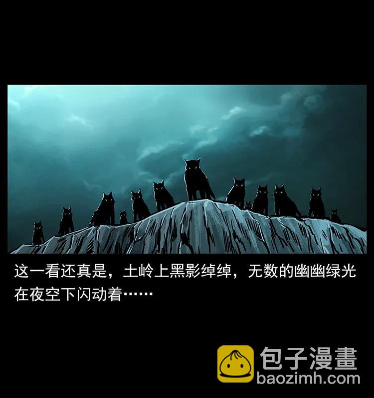 幽冥詭匠 - 220 漠北白狼王(2/2) - 5