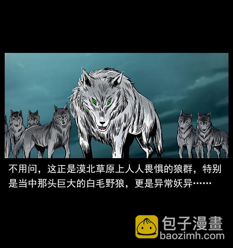 幽冥詭匠 - 220 漠北白狼王(2/2) - 6