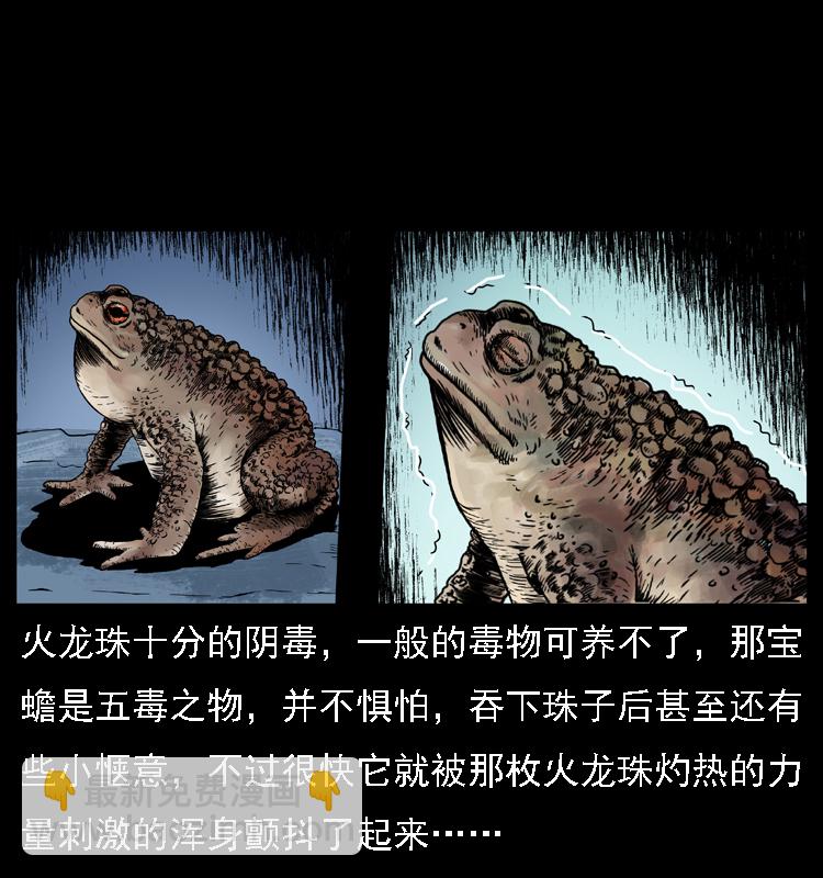 幽冥詭匠 - 024 聚寶蟾(1/2) - 5