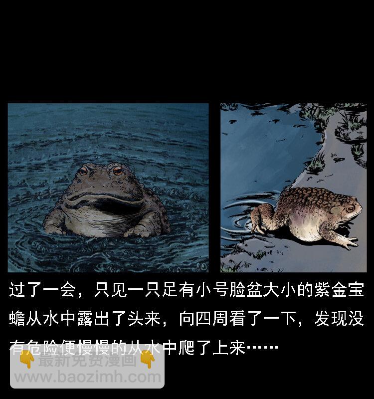 幽冥詭匠 - 024 聚寶蟾(1/2) - 4