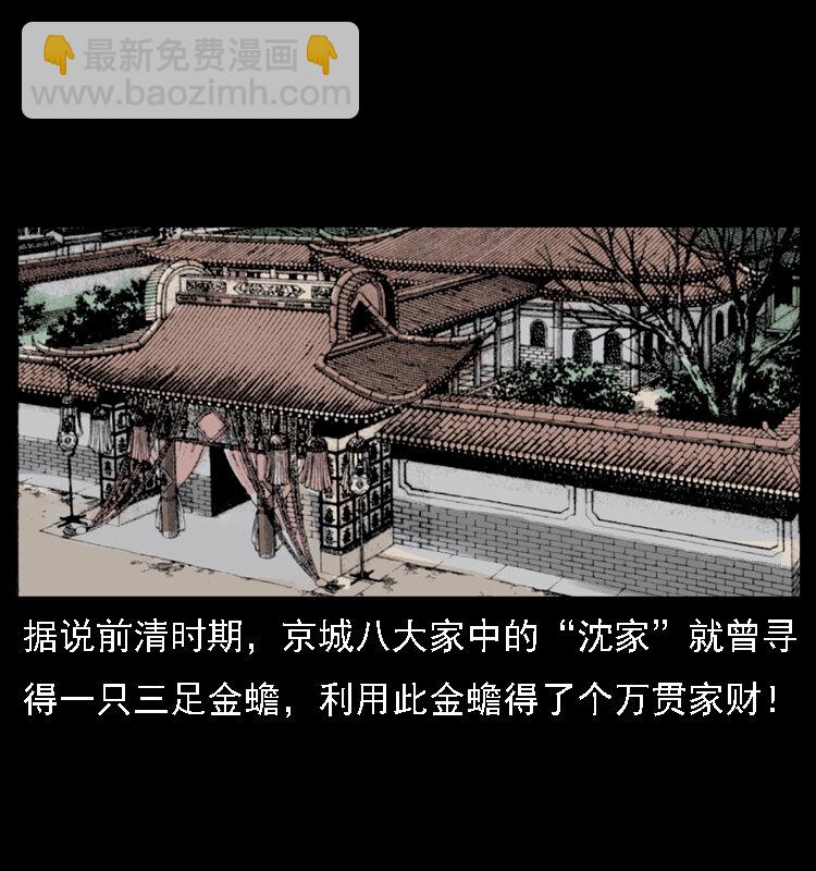 幽冥詭匠 - 024 聚寶蟾(2/2) - 5