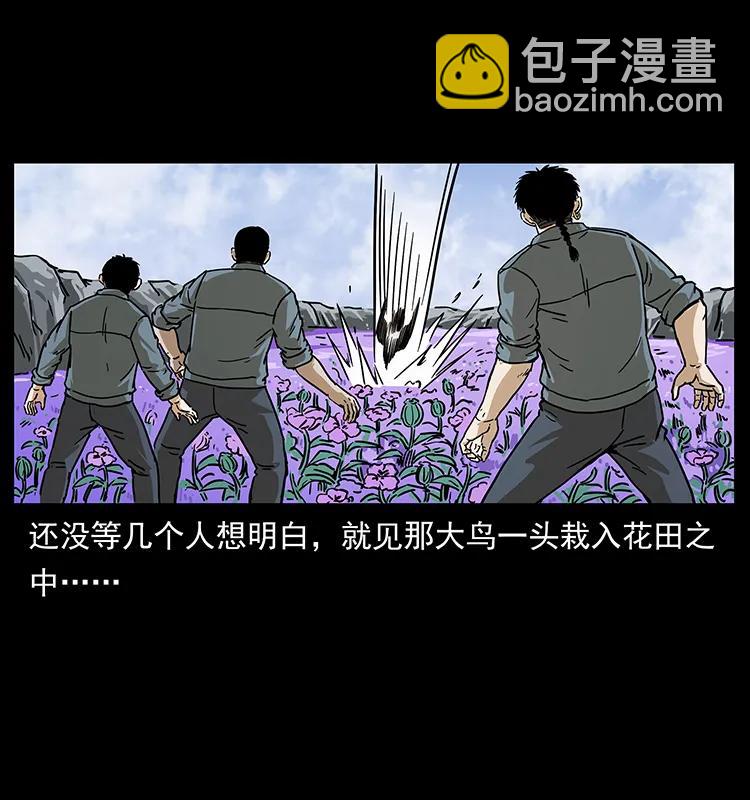 幽冥詭匠 - 236 神秘的小島(2/2) - 5