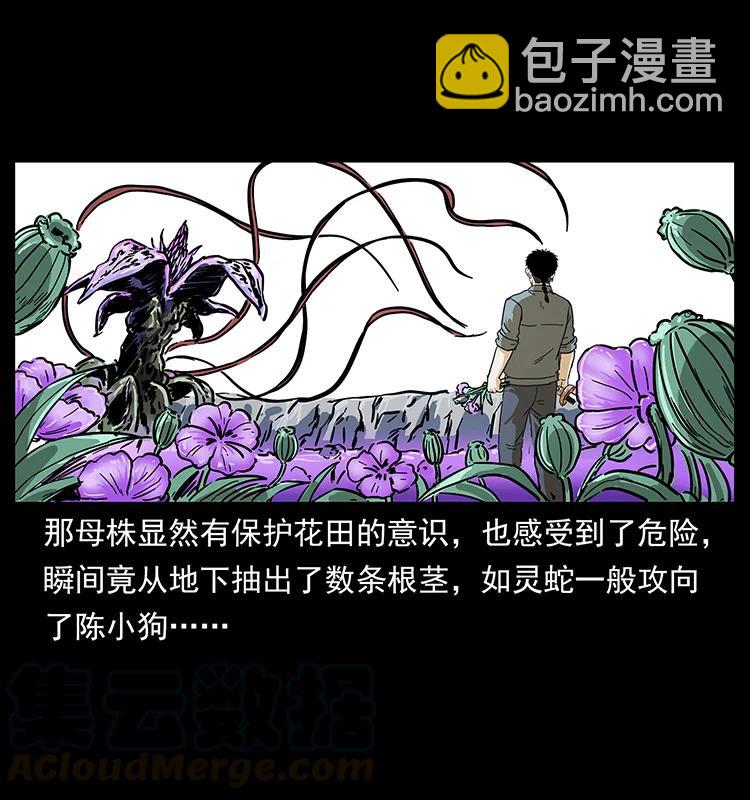 幽冥詭匠 - 236 神秘的小島(2/2) - 5