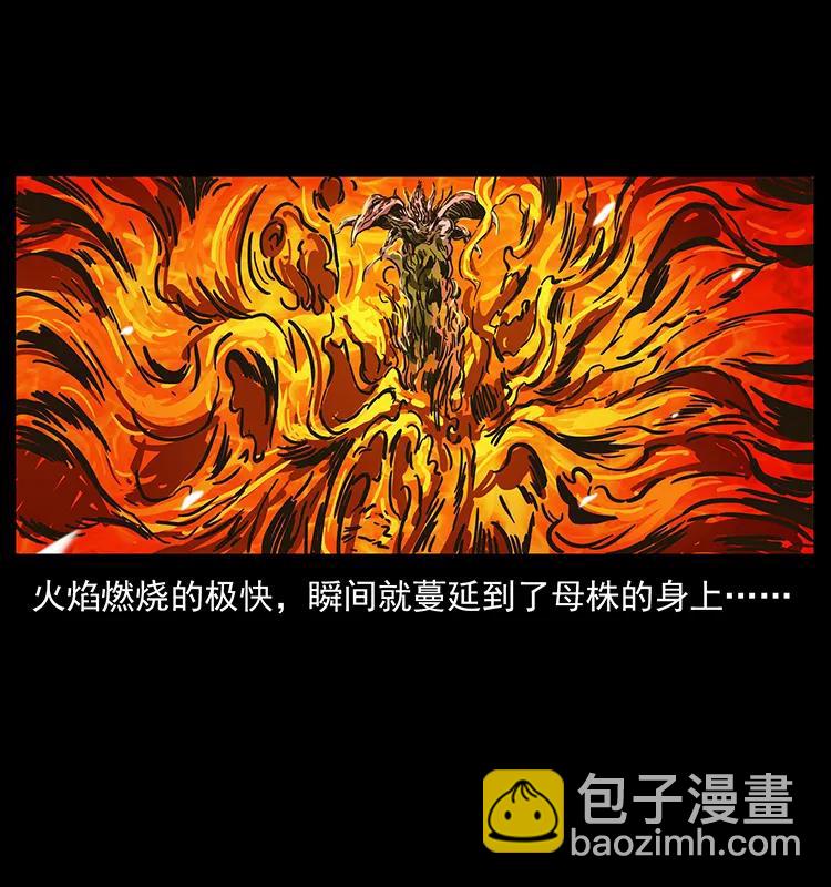 幽冥詭匠 - 236 神秘的小島(2/2) - 3