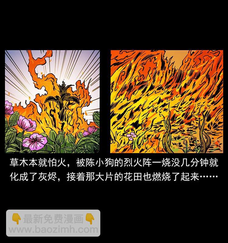 幽冥詭匠 - 236 神秘的小島(2/2) - 4