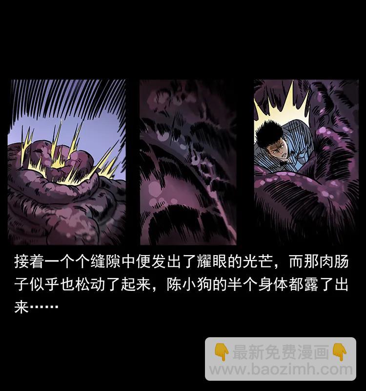 幽冥詭匠 - 242 陳小狗失算了(1/2) - 3