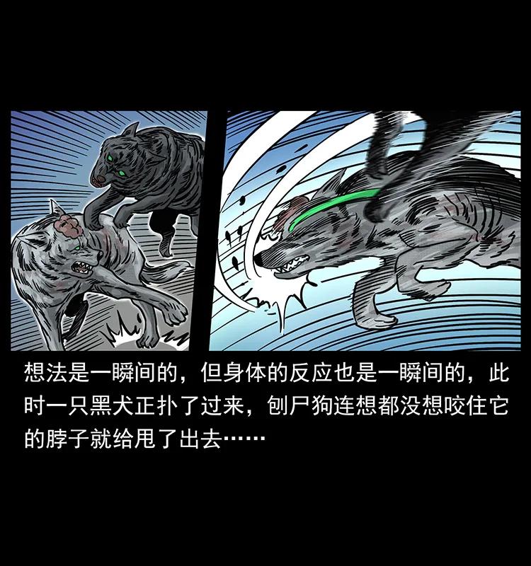 幽冥詭匠 - 252 危機！危機(1/2) - 6