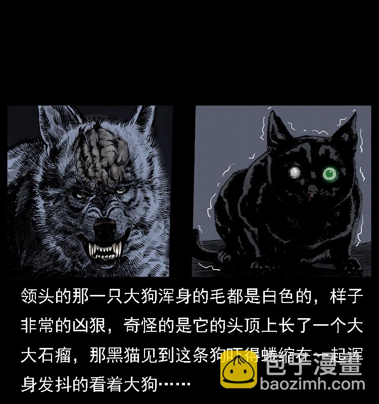 幽冥诡匠 - 004 猫妖(2/2) - 2