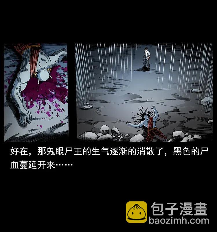 幽冥詭匠 - 304 鬼眼屍王(2/2) - 6