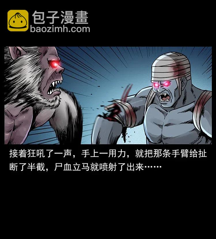 幽冥詭匠 - 314 湘西鬥屍(2/2) - 2