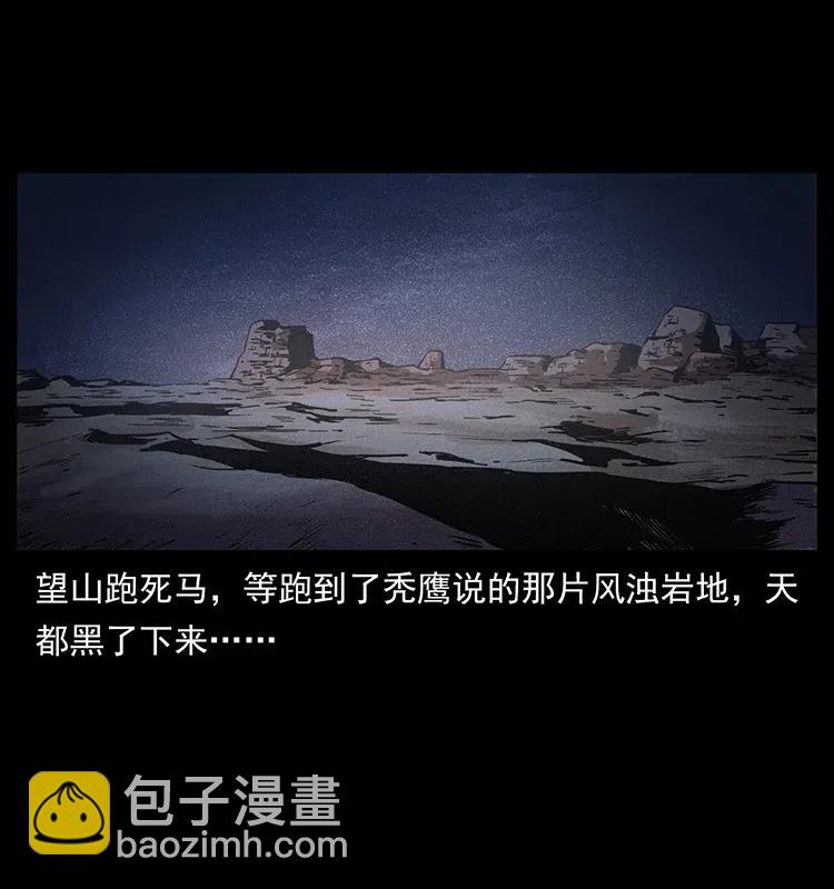 幽冥詭匠 - 318 沙漠禿鷹(1/2) - 4