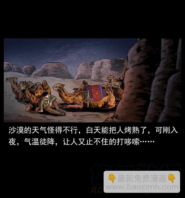 幽冥詭匠 - 318 沙漠禿鷹(1/2) - 5