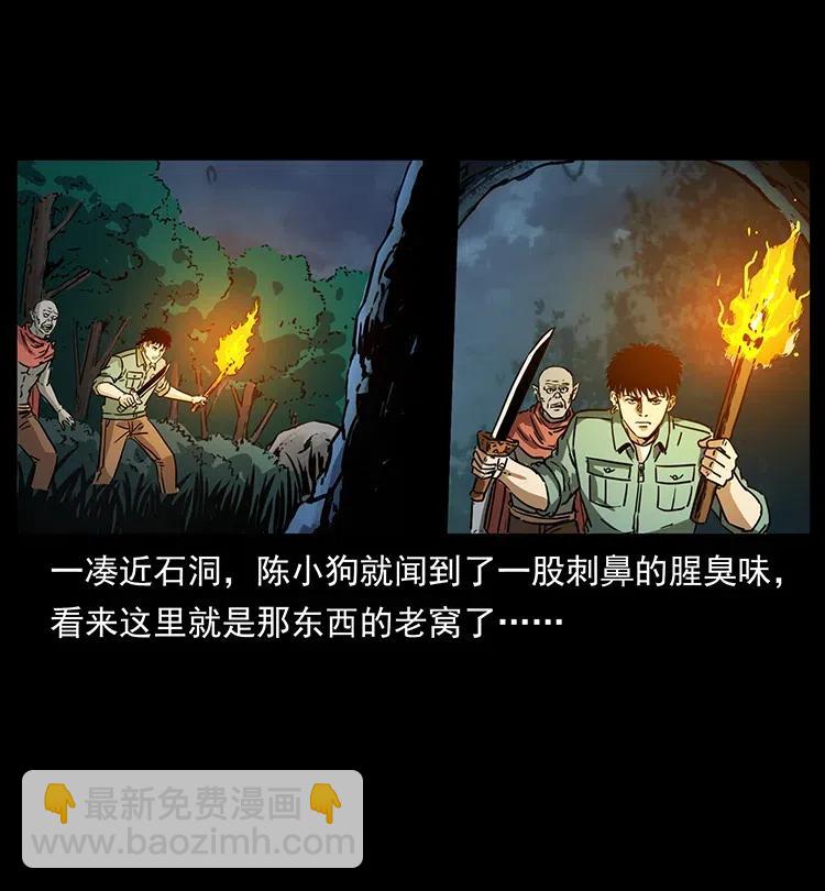 幽冥詭匠 - 342 白毛殭屍(1/2) - 3