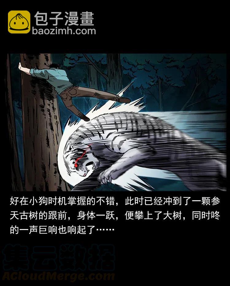 幽冥詭匠 - 342 白毛殭屍(1/2) - 5