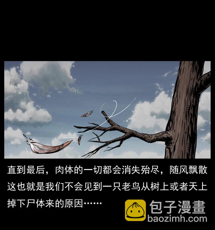 幽冥詭匠 - 036 百雀丹（上）(1/2) - 2