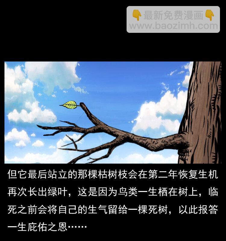 幽冥詭匠 - 036 百雀丹（上）(1/2) - 3