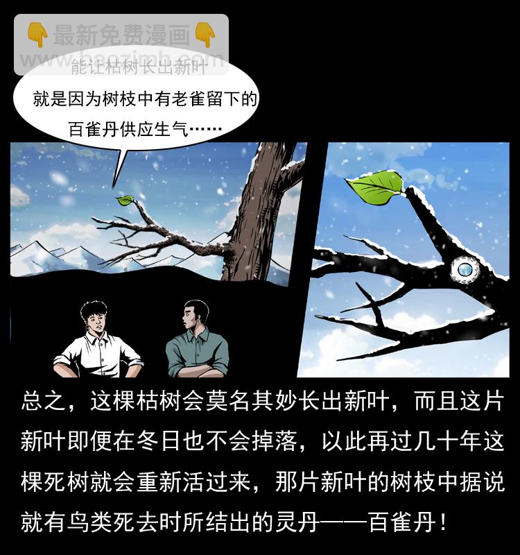 幽冥詭匠 - 036 百雀丹（上）(1/2) - 4