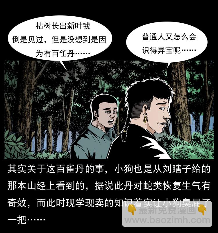 幽冥詭匠 - 036 百雀丹（上）(1/2) - 5