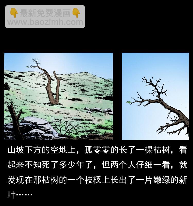 幽冥詭匠 - 036 百雀丹（上）(1/2) - 1