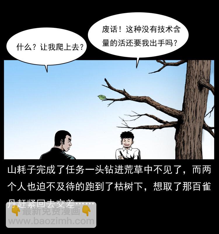 幽冥詭匠 - 036 百雀丹（上）(1/2) - 2