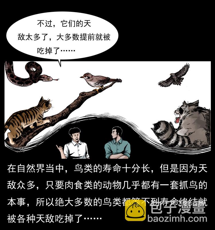 幽冥詭匠 - 036 百雀丹（上）(1/2) - 7