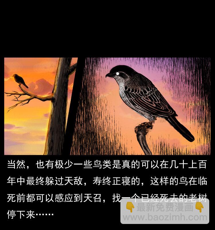 幽冥詭匠 - 036 百雀丹（上）(1/2) - 8