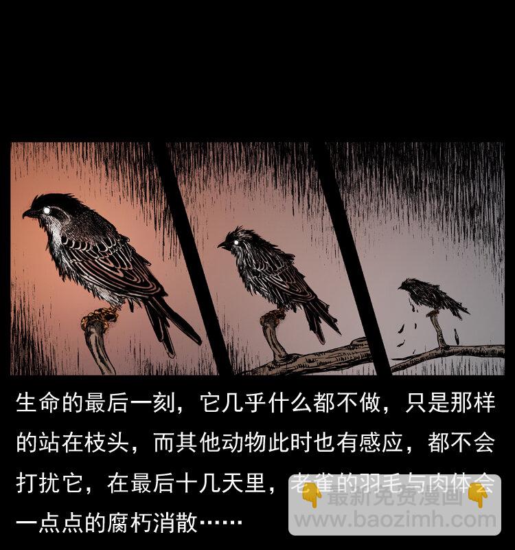 幽冥詭匠 - 036 百雀丹（上）(1/2) - 1