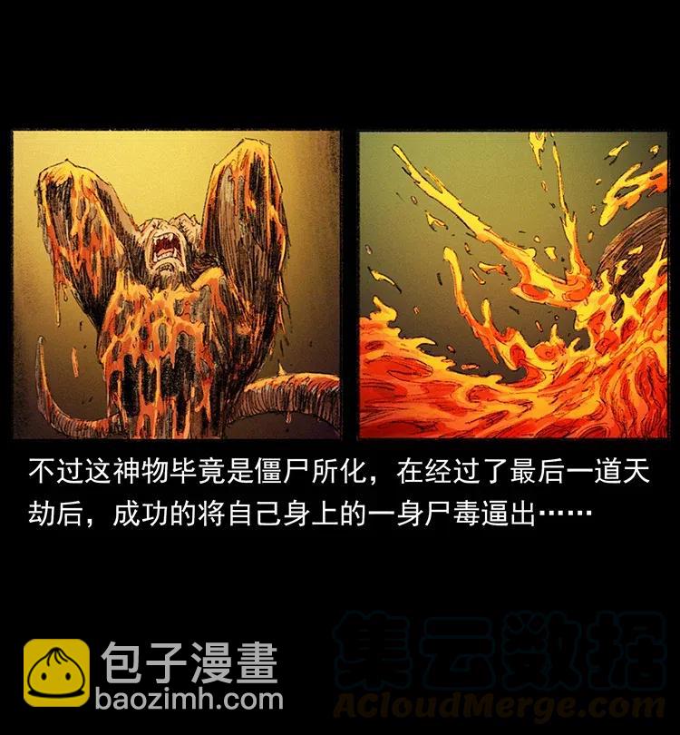 幽冥詭匠 - 368 上古屍毒(2/2) - 6