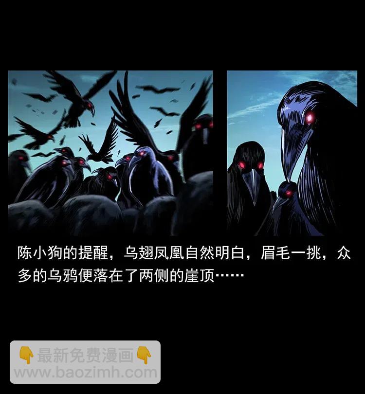 幽冥詭匠 - 370 烏翅鳳凰(2/2) - 1