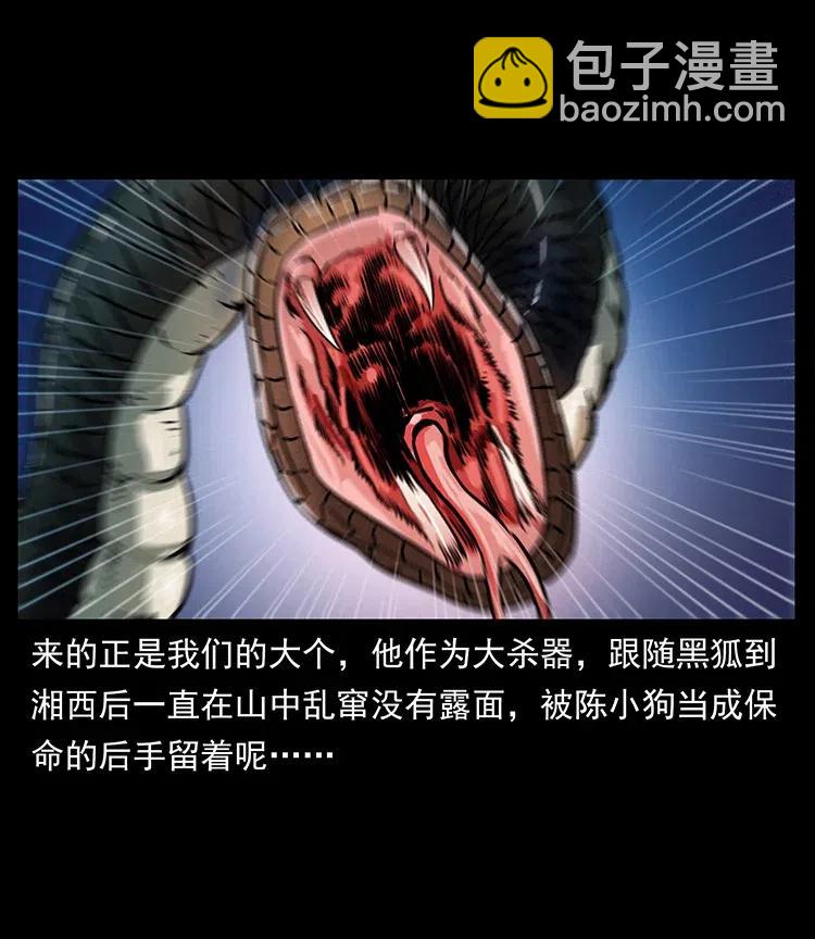 幽冥詭匠 - 372 天擊雷屍(2/2) - 2